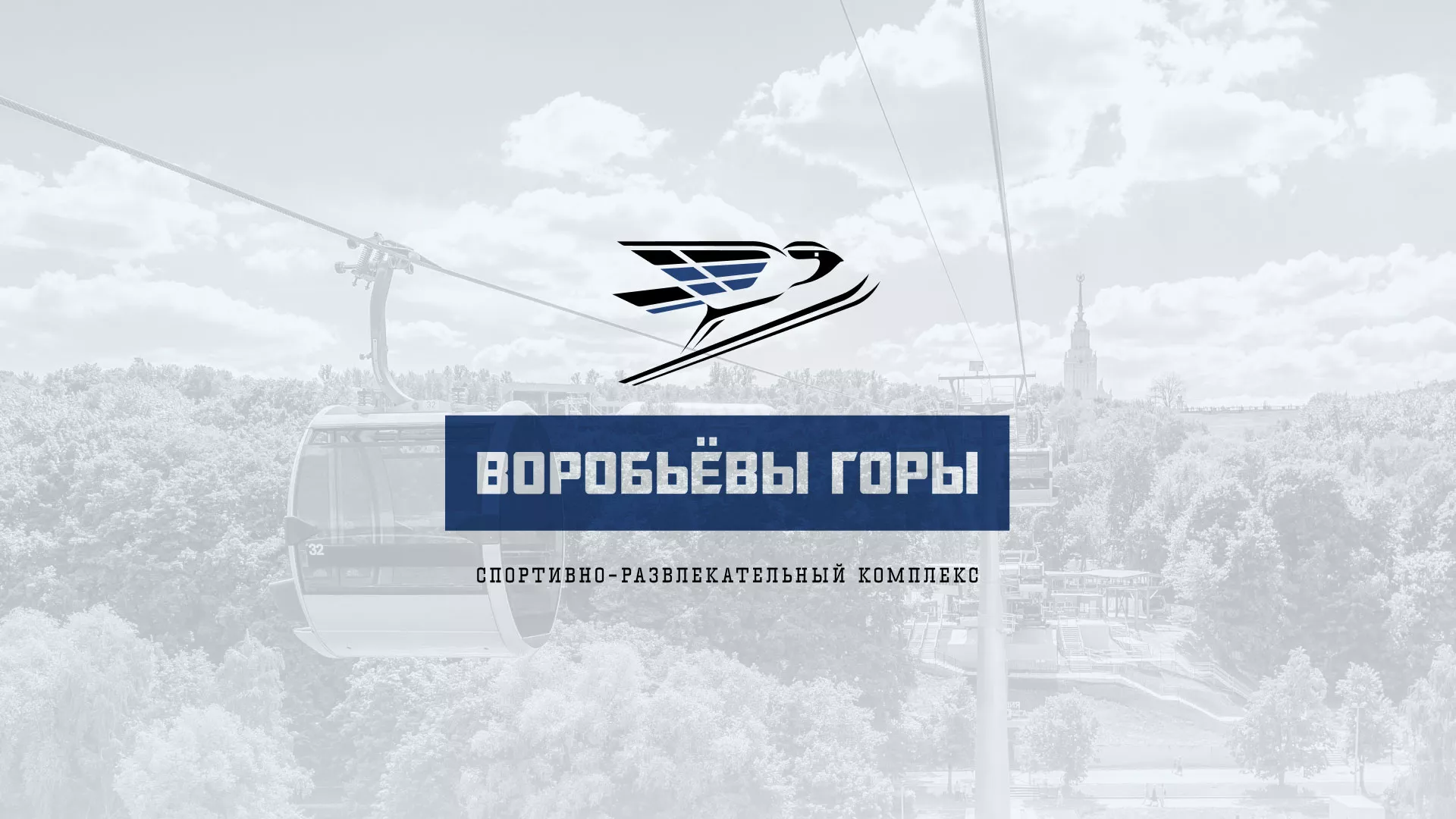 Разработка сайта в Советской Гавани для спортивно-развлекательного комплекса «Воробьёвы горы»