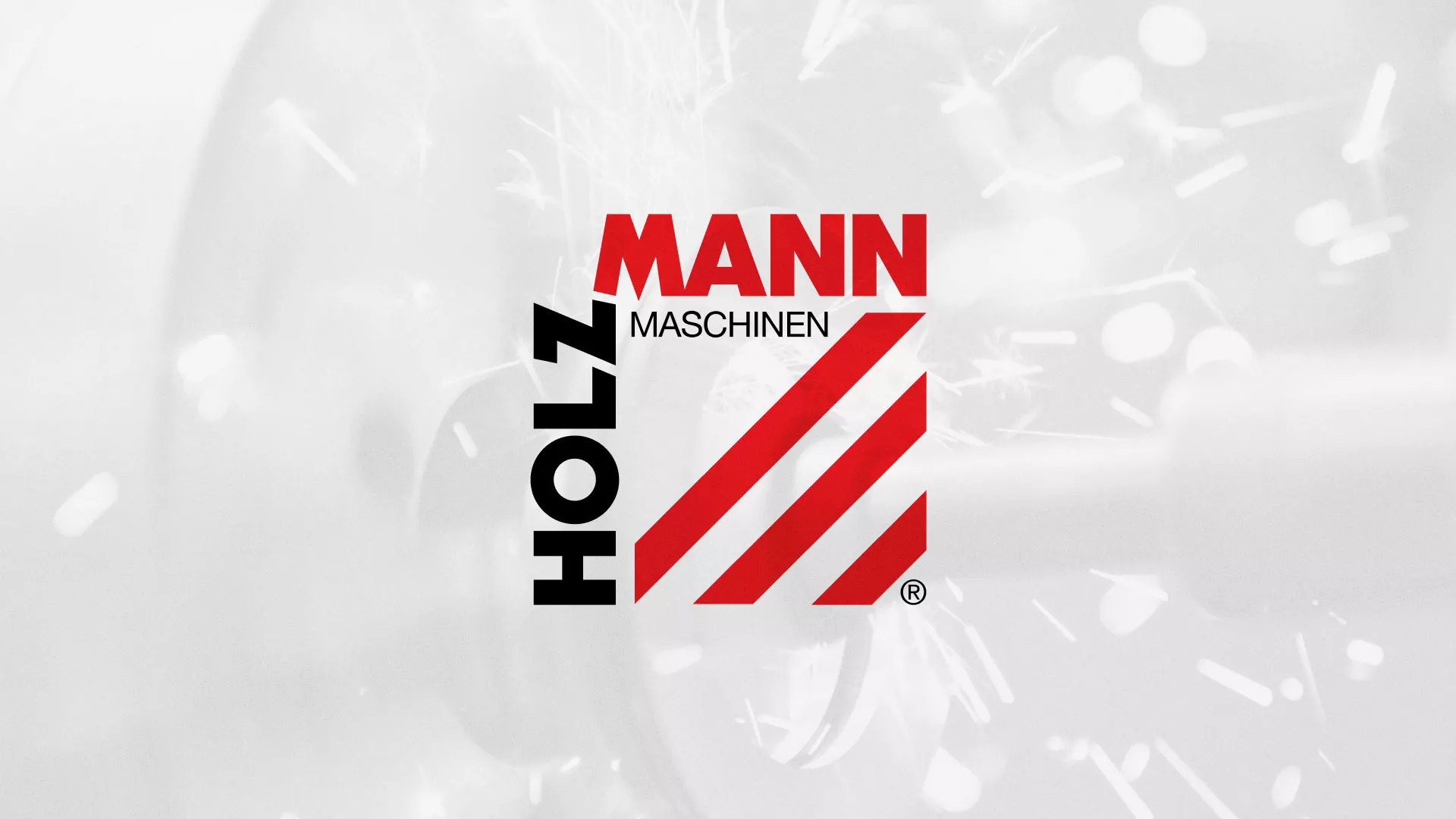 Создание сайта компании «HOLZMANN Maschinen GmbH» в Советской Гавани