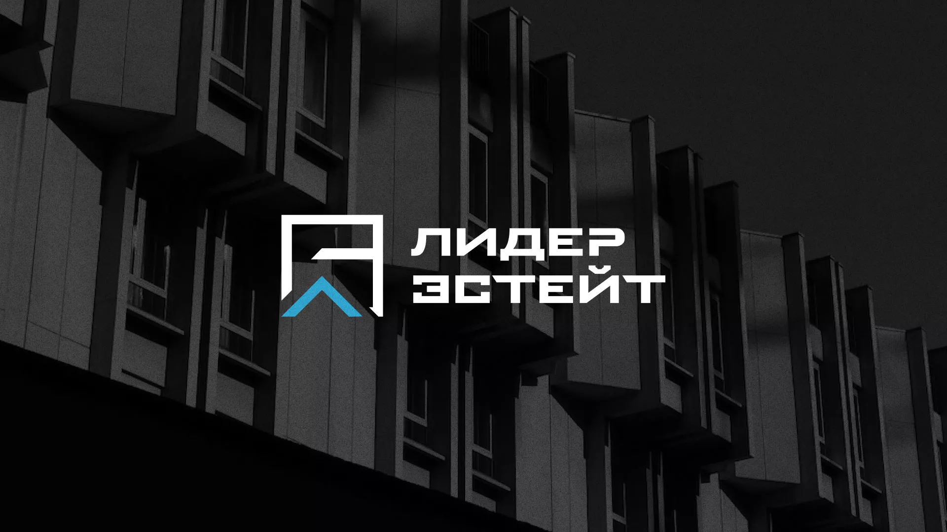 Разработка логотипа агентства недвижимости «Лидер Эстейт» в Советской Гавани